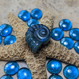 Labradorite Ammonite Carving~CRLABAC4