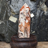 Mushroom Rhyolite Generator~CRMYAG09