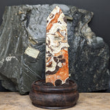 Mushroom Rhyolite Generator~CRMYAG13