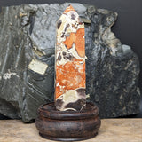 Mushroom Rhyolite Generator~CRMYAG13