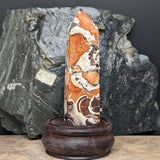 Mushroom Rhyolite Generator~CRMYAG13
