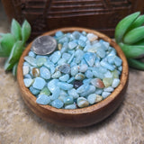 Amazonite Chips~CRCAMCHP