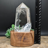 Quartz Crystal in Wood Stand~CRQCWS01