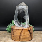 Quartz Crystal in Wood Stand~CRQCWS01