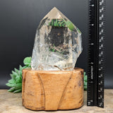 Quartz Crystal in Wood Stand~CRQCWS02