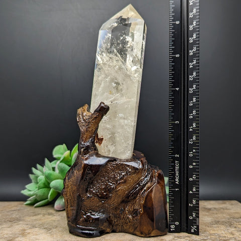 Quartz Crystal in Wood Branch Stand~CRQCWS03