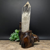 Quartz Crystal in Wood Branch Stand~CRQCWS03