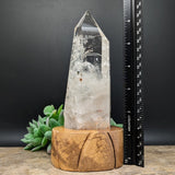 Quartz Crystal in Wood Stand~CRQCWS04