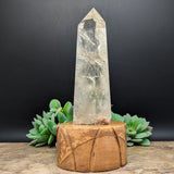 Quartz Crystal in Wood Stand~CRQCWS05