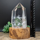 Quartz Crystal in Wood Stand~CRQCWS06