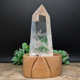 Quartz Crystal in Wood Stand~CRQCWS06