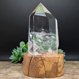 Quartz Crystal in Wood Stand~CRQCWS06