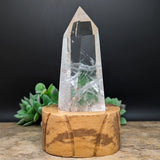 Quartz Crystal in Wood Stand~CRQCWS06