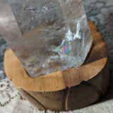 Quartz Crystal in Wood Stand~CRQCWS06