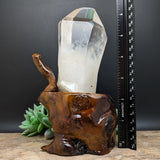 Quartz Crystal in Wood Branch Stand~CRQCWS07