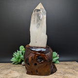 Quartz Crystal in Wood Branch Stand~CRQCWS07