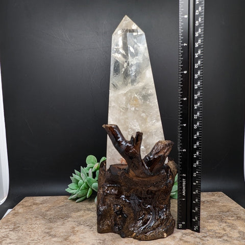 Golden Healer Quartz Crystal in Wood Branch Stand~CRQCWS09