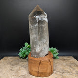 Quartz Crystal in Wood Stand~CRQCWS10