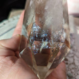 Quartz Crystal in Wood Stand~CRQCWS10