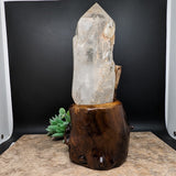 Golden Healer Lodolite Elestial Quartz Crystal in Wood Branch Stand~CRQCWS11