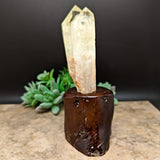 Citrine Tantric Twin Crystal in Wood Branch Stand~CRQCWS13