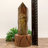 Smoky Citrine Crystal in Wood Stand~CRQCWS17