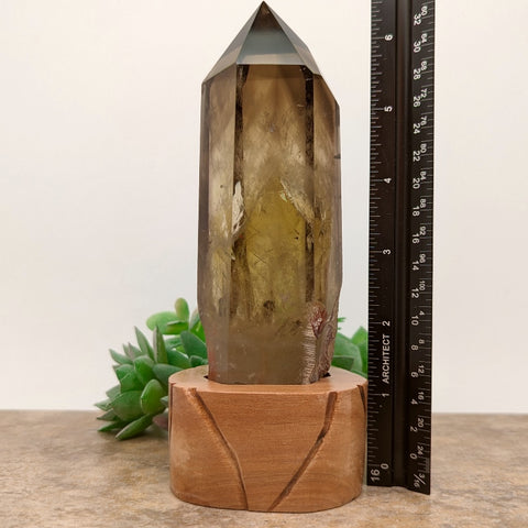 Smoky Citrine Crystal in Wood Stand~CRQCWS20