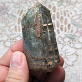 Lodolite Quartz Crystal in Wood Branch Stand~CRQCWS21