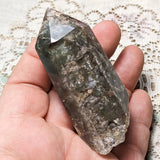 Lodolite Quartz Crystal in Wood Branch Stand~CRQCWS22