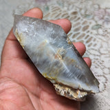 Lodolite Quartz Crystal in Wood Branch Stand~CRQCWS24