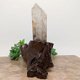 Lodolite Quartz Crystal in Wood Branch Stand~CRQCWS25