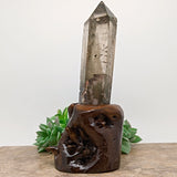 Lodolite Quartz Crystal in Wood Branch Stand~CRQCWS26