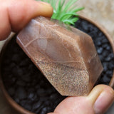 Black Hematitic Sunstone Faceted Gem~CRBHSG09