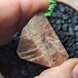 Black Hematitic Sunstone Faceted Gem~CRBHSG10