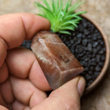 Black Hematitic Sunstone Tower~CRBHSG11