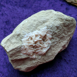 Pink Dolomite~ CRSPEC26